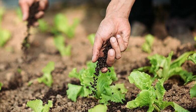 1673057557200193.jpg 水溶肥.jpg