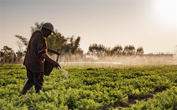 1673059276536730.jpg 水溶肥.jpg