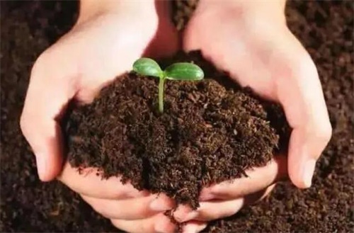 1675930360213716.jpg 水溶肥.jpg